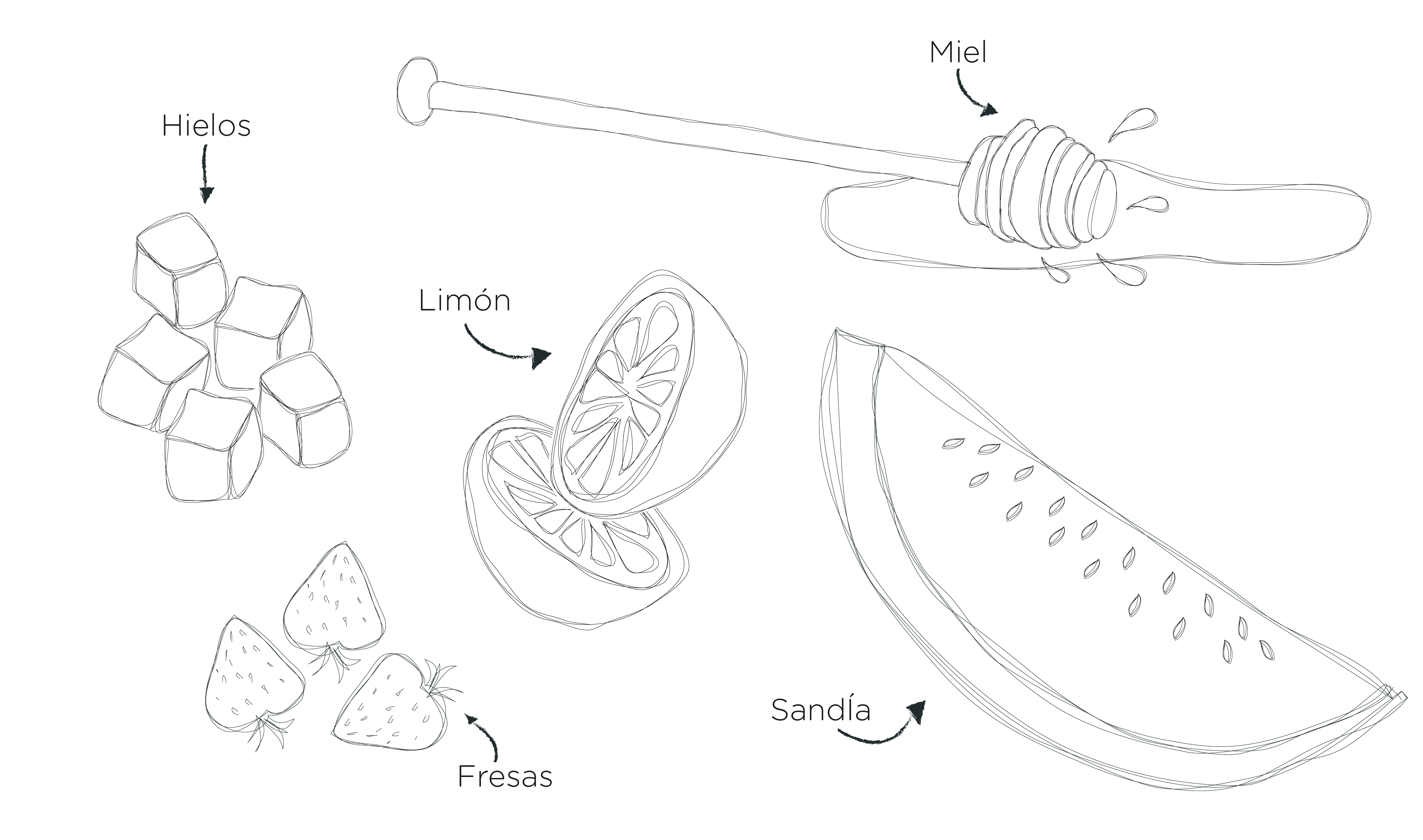 Jugo de Sandía-10.jpg
