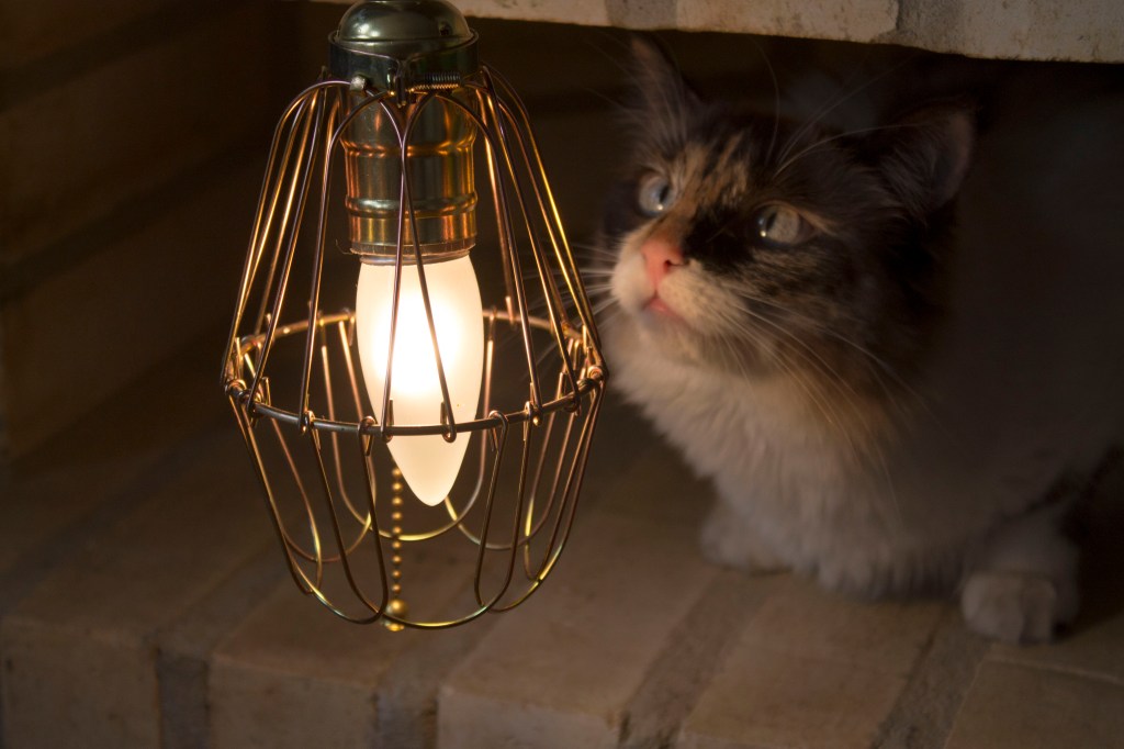 Una lámpara hecha en&nbsp;casa