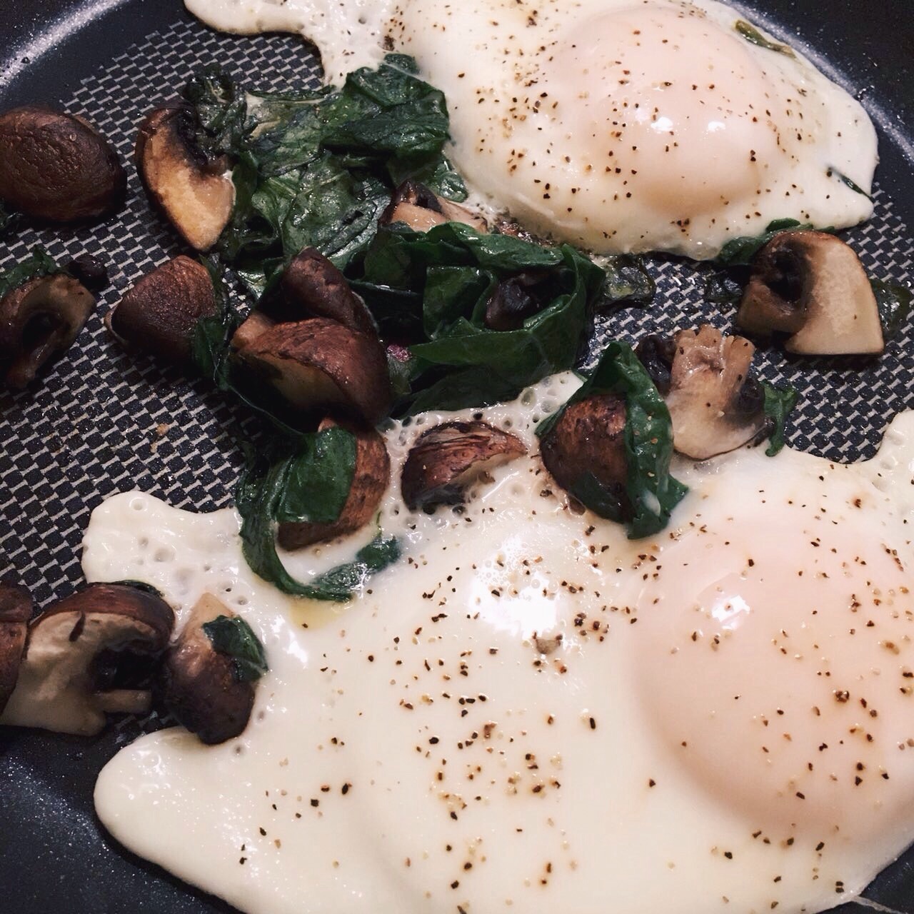 Processed with VSCO with hb2 preset