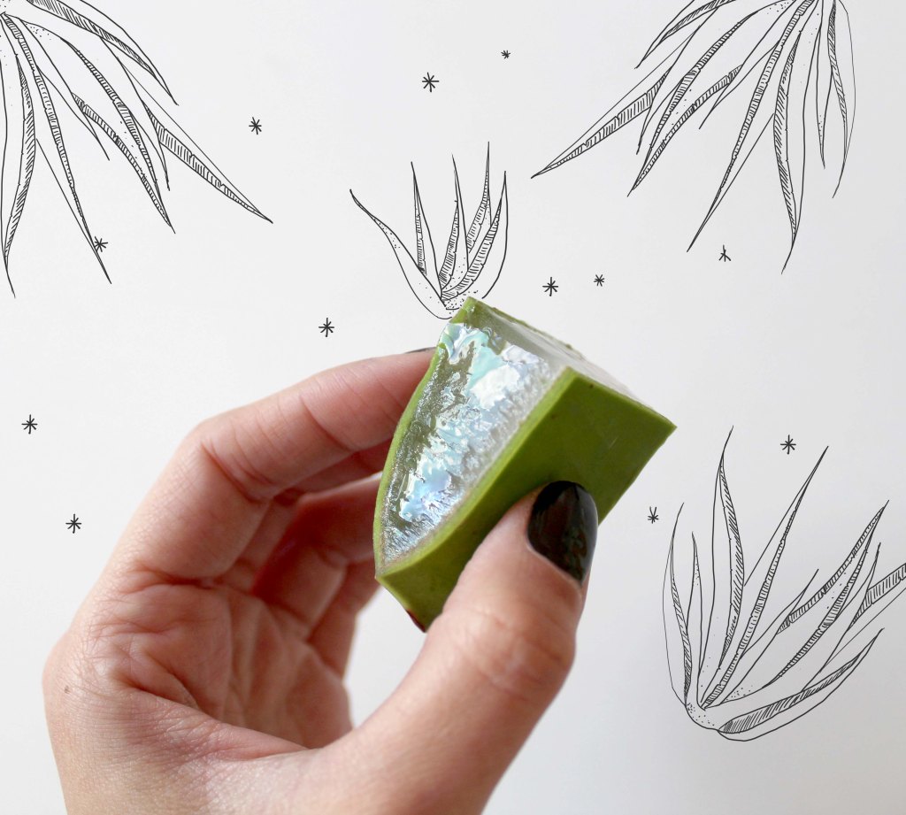 Los beneficios del Aloe Vera para la&nbsp;piel