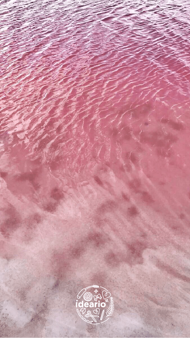 Fondos de PantallaMesa de trabajo 1 copia 4