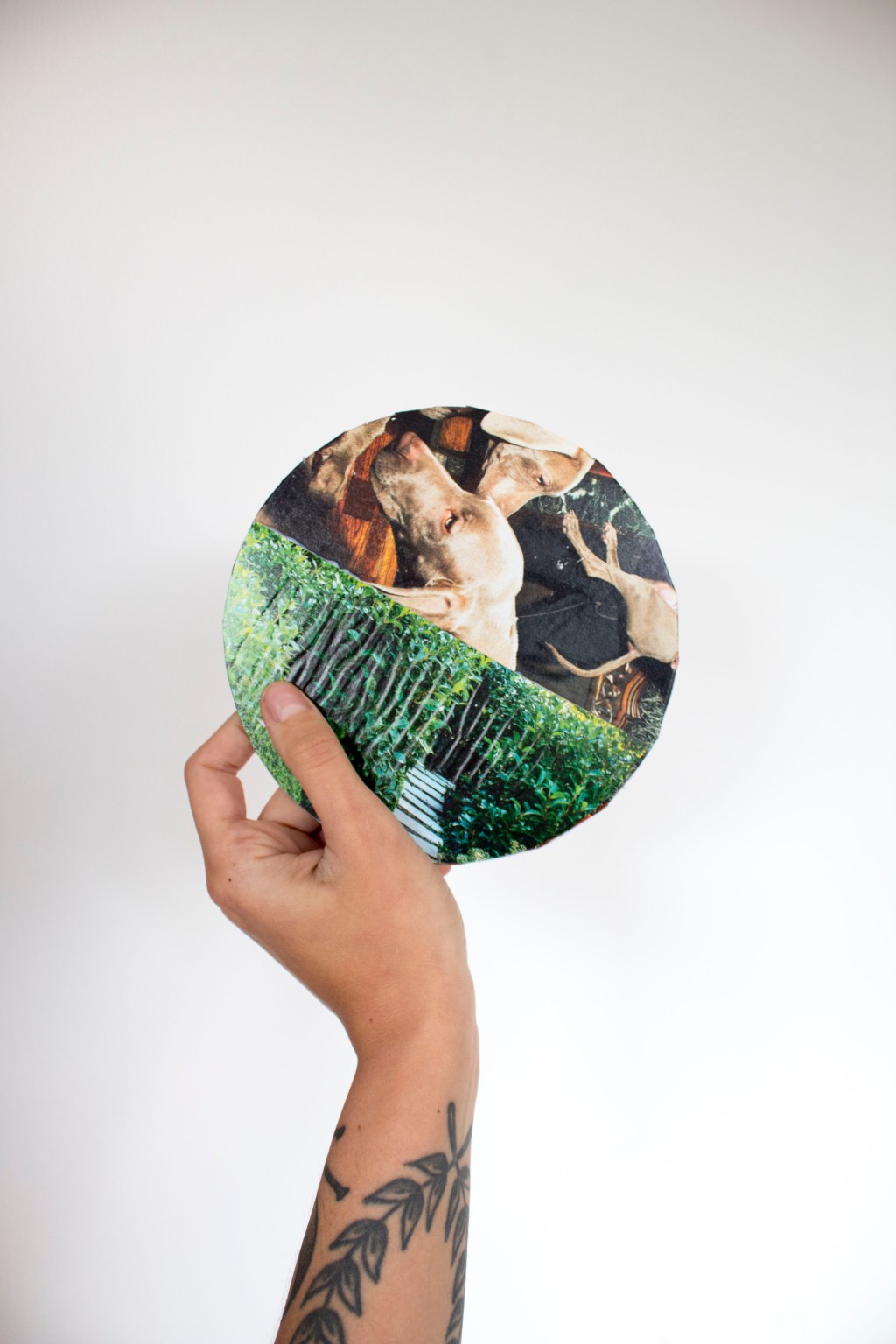 Hagan su propio abanico para combatir el&nbsp;calor