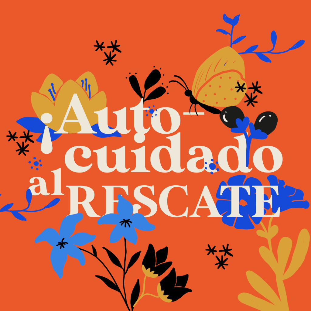 DÍA 24 | Mascarillas para el pelo, beneficios del vinagre de manzana y encuadernación en 7&nbsp;pasos